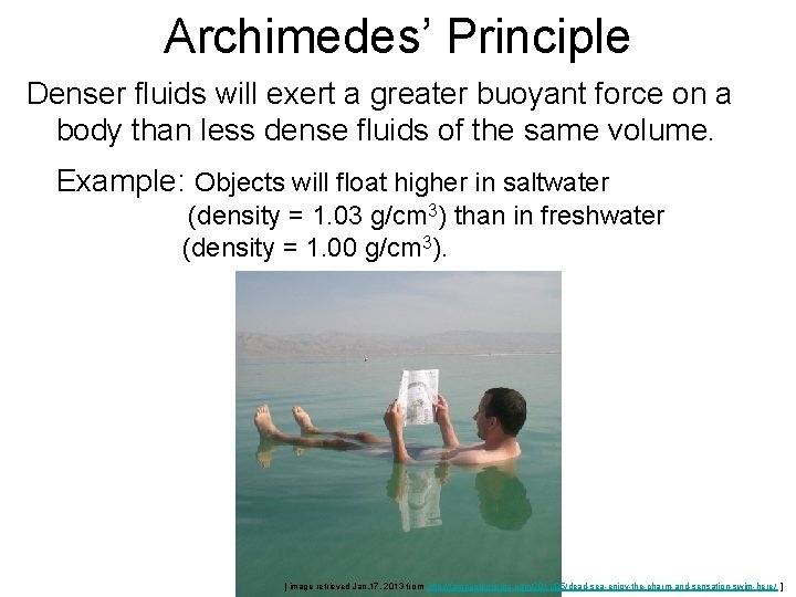 Archimedes’ Principle Denser fluids will exert a greater buoyant force on a body than