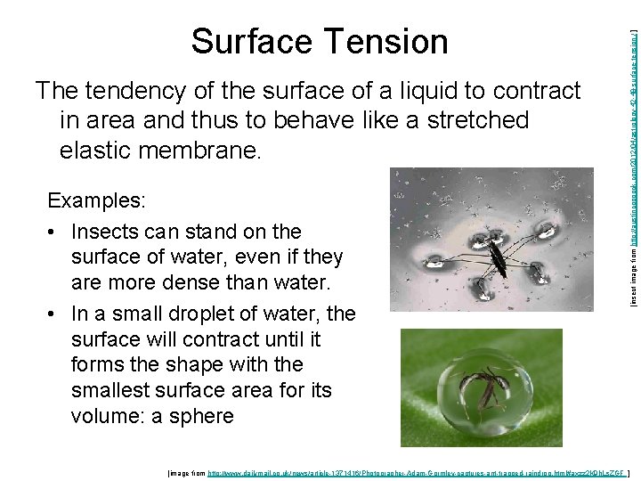 The tendency of the surface of a liquid to contract in area and thus