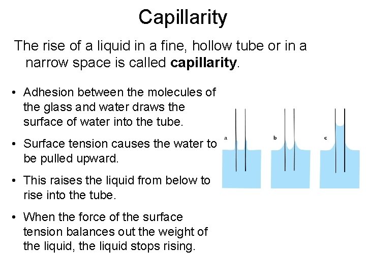 Capillarity The rise of a liquid in a fine, hollow tube or in a