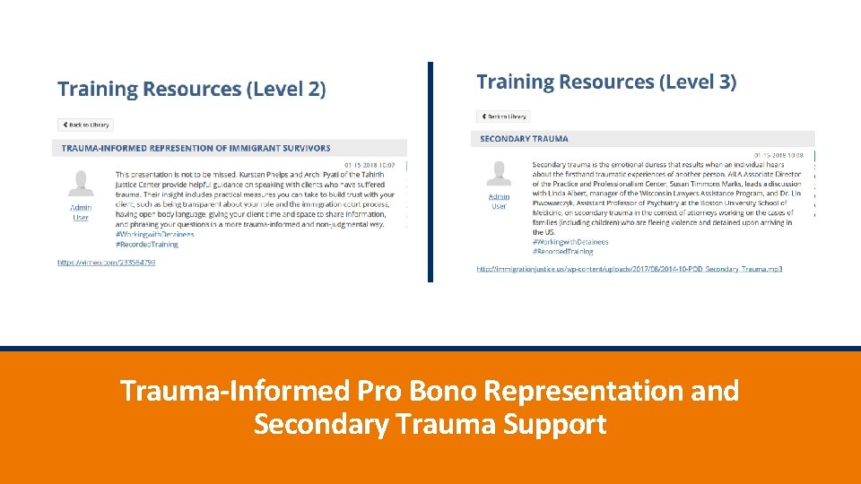 Trauma-Informed Pro Bono Representation and Secondary Trauma Support 