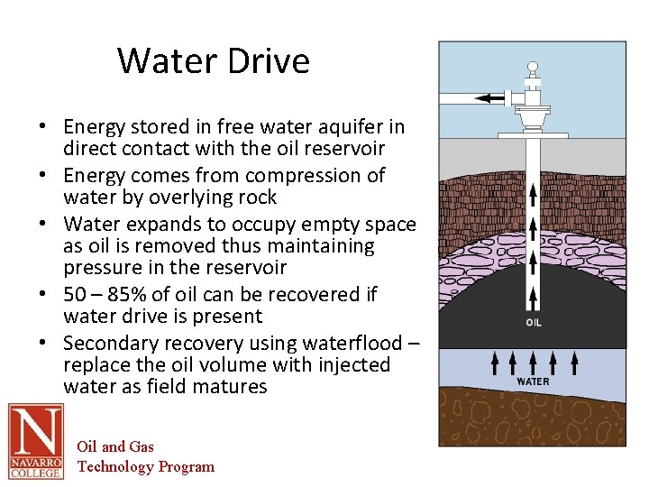 Water Drive • Energy stored in free water aquifer in direct contact with the