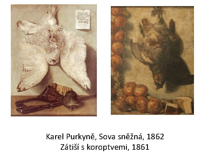 Karel Purkyně, Sova sněžná, 1862 Zátiší s koroptvemi, 1861 