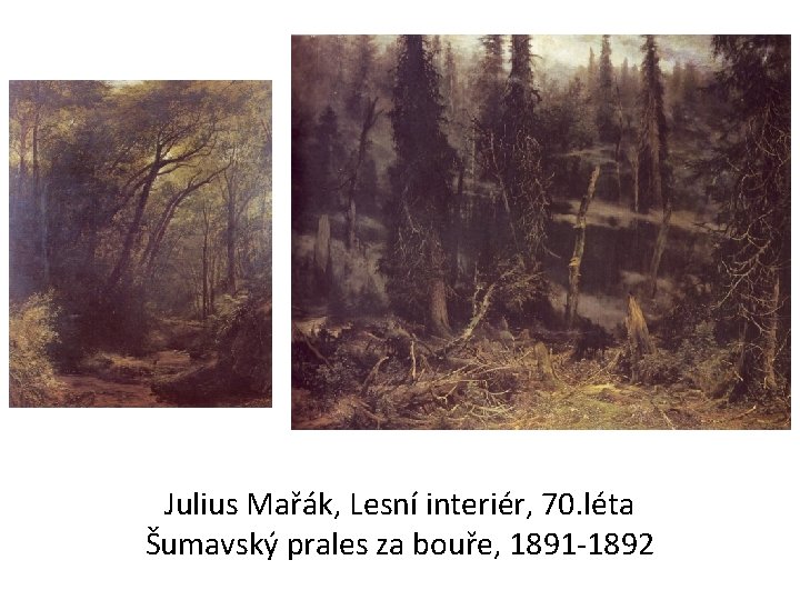 Julius Mařák, Lesní interiér, 70. léta Šumavský prales za bouře, 1891 -1892 