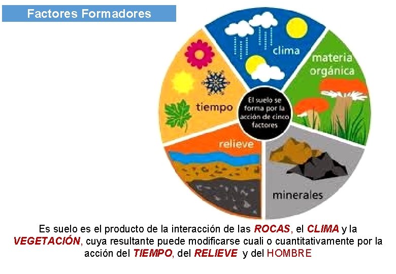 Factores Formadores Es suelo es el producto de la interacción de las ROCAS, el Factores Formadores Es suelo es el producto de la interacción de las ROCAS, el