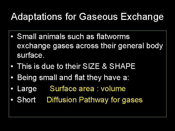 Adaptations for Gaseous Exchange • Small animals such as flatworms exchange gases across their