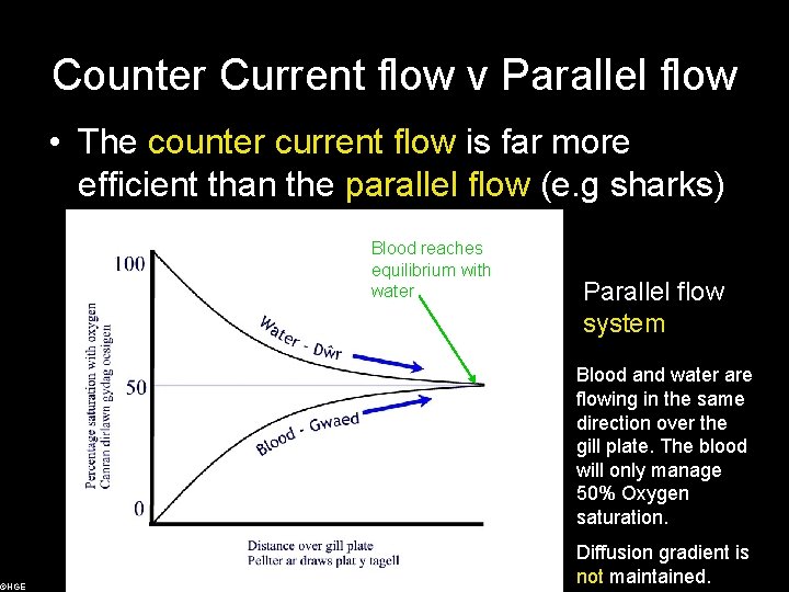 ©HGE Counter Current flow v Parallel flow • The counter current flow is far