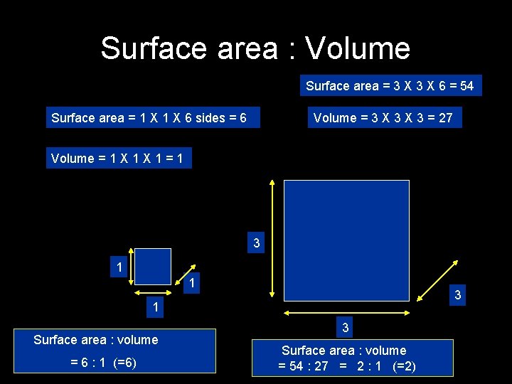 Surface area : Volume Surface area = 3 X 6 = 54 Surface area
