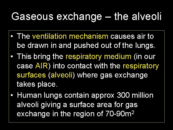 Gaseous exchange – the alveoli • The ventilation mechanism causes air to be drawn
