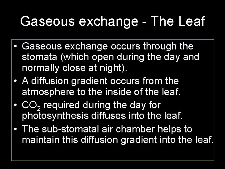 Gaseous exchange - The Leaf • Gaseous exchange occurs through the stomata (which open