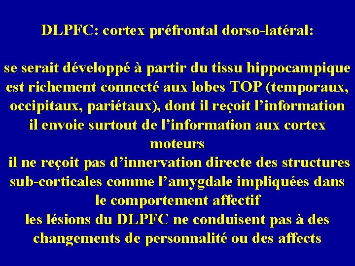 DLPFC: cortex préfrontal dorso-latéral: se serait développé à partir du tissu hippocampique est richement