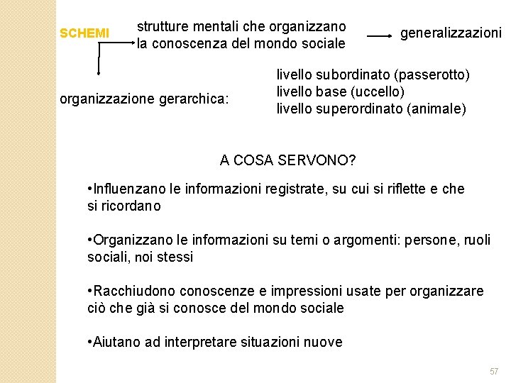 SCHEMI strutture mentali che organizzano la conoscenza del mondo sociale organizzazione gerarchica: generalizzazioni livello