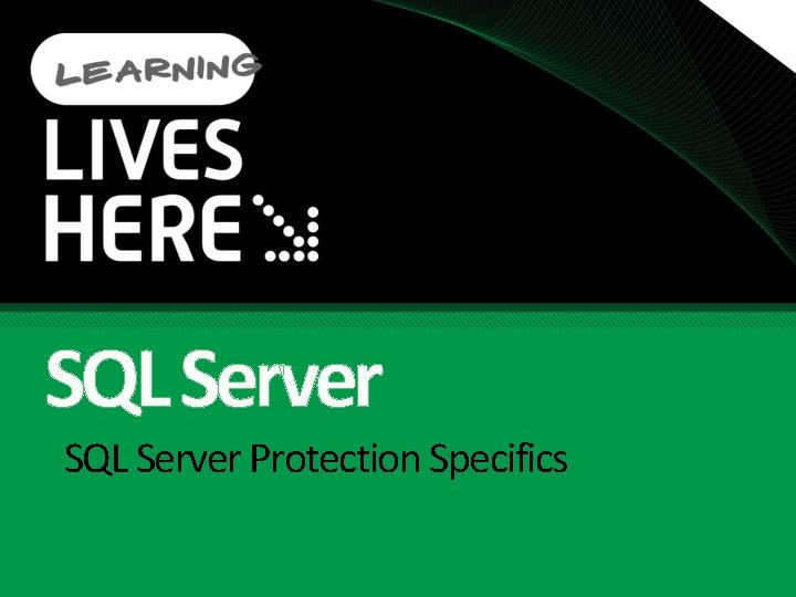 SQL Server Protection Specifics SQL Server Protection Specifics
