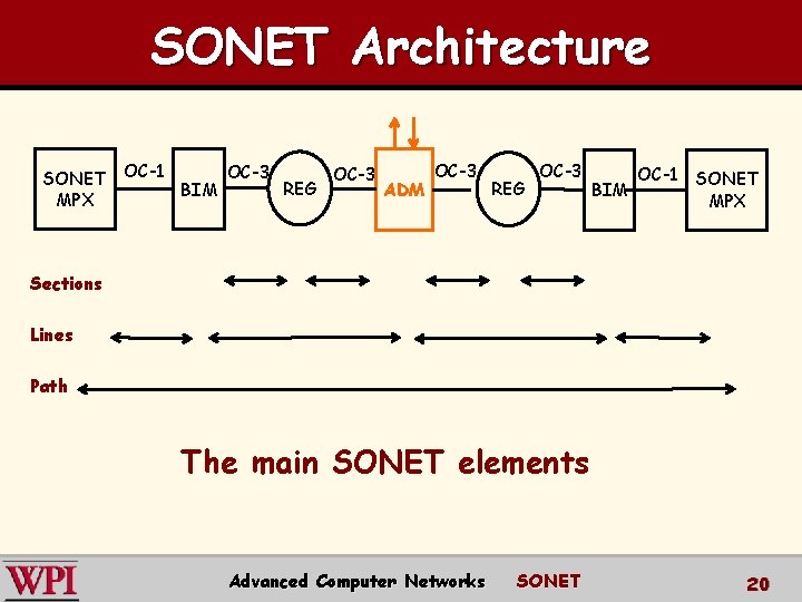 SONET Architecture OC-3 OC-1 SONET OC-3 SONET OC-1 REG BIM ADM BIM MPX Sections SONET Architecture OC-3 OC-1 SONET OC-3 SONET OC-1 REG BIM ADM BIM MPX Sections