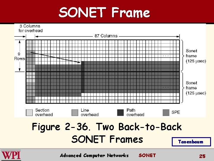 SONET Frame Figure 2 -36. Two Back-to-Back SONET Frames Tanenbaum Advanced Computer Networks SONET SONET Frame Figure 2 -36. Two Back-to-Back SONET Frames Tanenbaum Advanced Computer Networks SONET