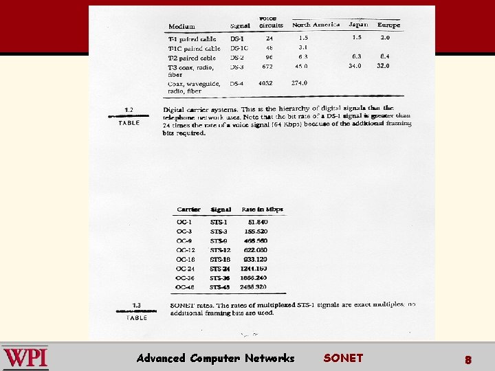 Advanced Computer Networks SONET 8 