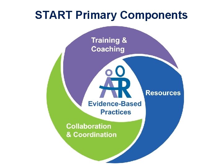 START Primary Components 