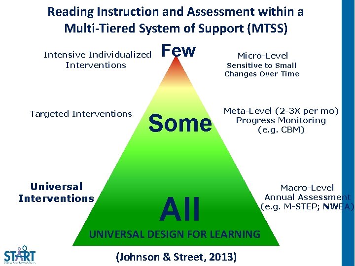 Reading Instruction and Assessment within a Multi-Tiered System of Support (MTSS) Intensive Individualized Interventions