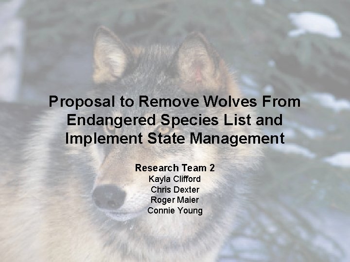 Proposal to Remove Wolves From Endangered Species List and Implement State Management Research Team