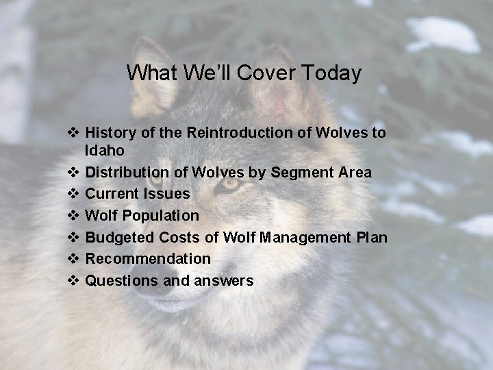 What We’ll Cover Today v History of the Reintroduction of Wolves to Idaho v