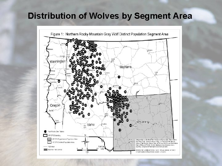 Distribution of Wolves by Segment Area 