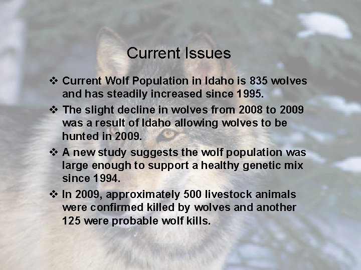 Current Issues v Current Wolf Population in Idaho is 835 wolves and has steadily