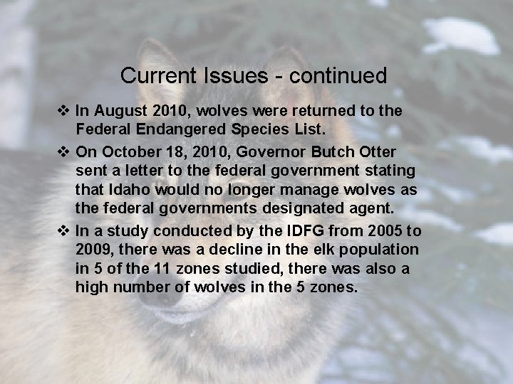 Current Issues - continued v In August 2010, wolves were returned to the Federal