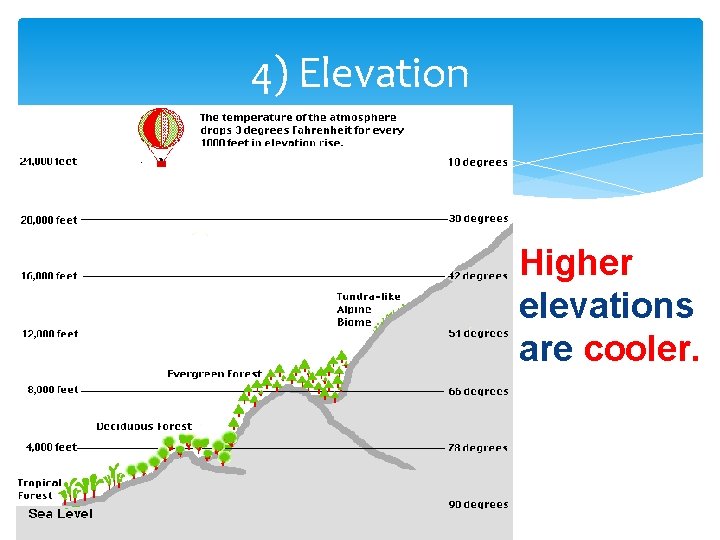 4) Elevation Higher elevations are cooler. 