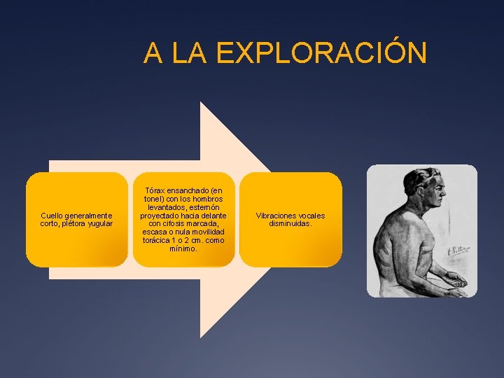 A LA EXPLORACIÓN Cuello generalmente corto, plétora yugular Tórax ensanchado (en tonel) con los