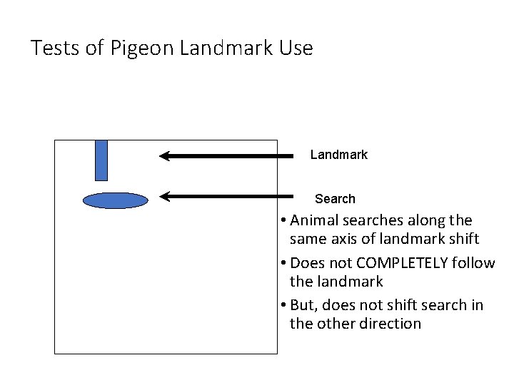 Tests of Pigeon Landmark Use Landmark Search • Animal searches along the same axis