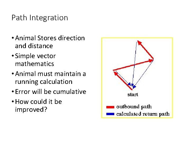 Path Integration • Animal Stores direction and distance • Simple vector mathematics • Animal