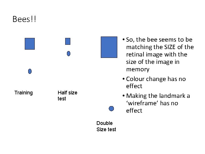 Bees!! Training • So, the bee seems to be matching the SIZE of the