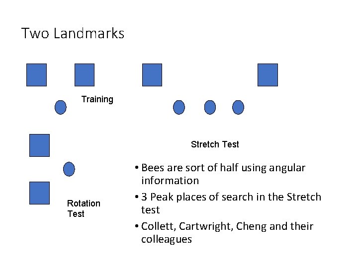 Two Landmarks Training Stretch Test Rotation Test • Bees are sort of half using