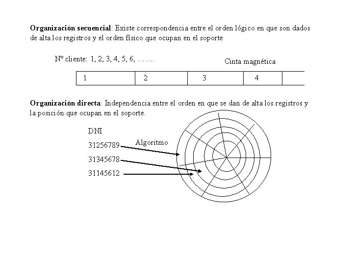 Organización secuencial: Existe correspondencia entre el orden lógico en que son dados de alta