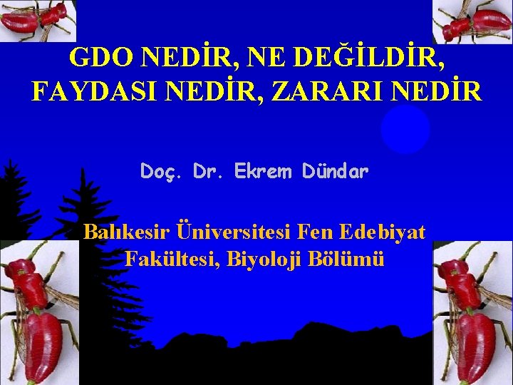 GDO NEDİR, NE DEĞİLDİR, FAYDASI NEDİR, ZARARI NEDİR Doç. Dr. Ekrem Dündar Balıkesir Üniversitesi