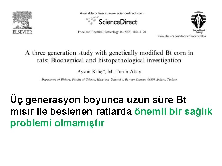 Üç generasyon boyunca uzun süre Bt mısır ile beslenen ratlarda önemli bir sağlık problemi