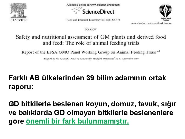 Farklı AB ülkelerinden 39 bilim adamının ortak raporu: GD bitkilerle beslenen koyun, domuz, tavuk,