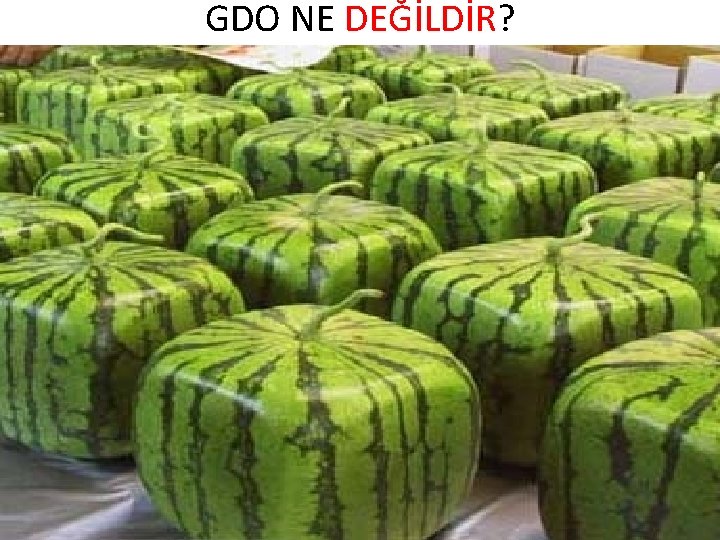 GDO NE DEĞİLDİR? 