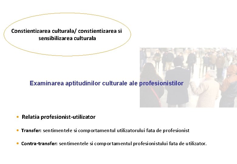 Constientizarea culturala/ constientizarea si sensibilizarea culturala Examinarea aptitudinilor culturale profesionistilor • Relatia profesionist-utilizator •