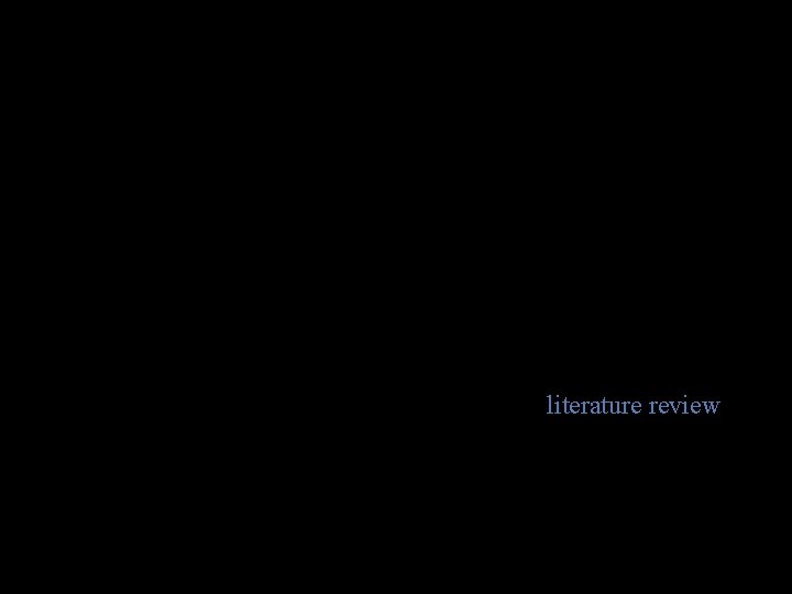 literature review 