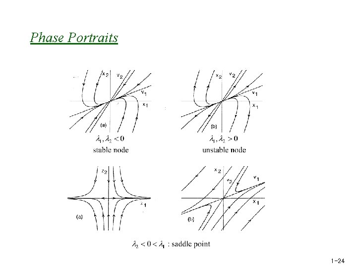 Phase Portraits 1 -24 