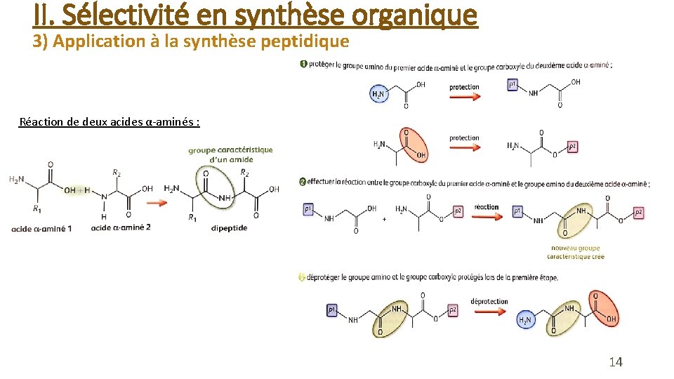 II. Sélectivité en synthèse organique 3) Application à la synthèse peptidique Réaction de deux