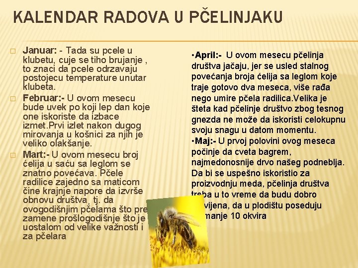 KALENDAR RADOVA U PČELINJAKU � � � Januar: - Tada su pcele u klubetu,