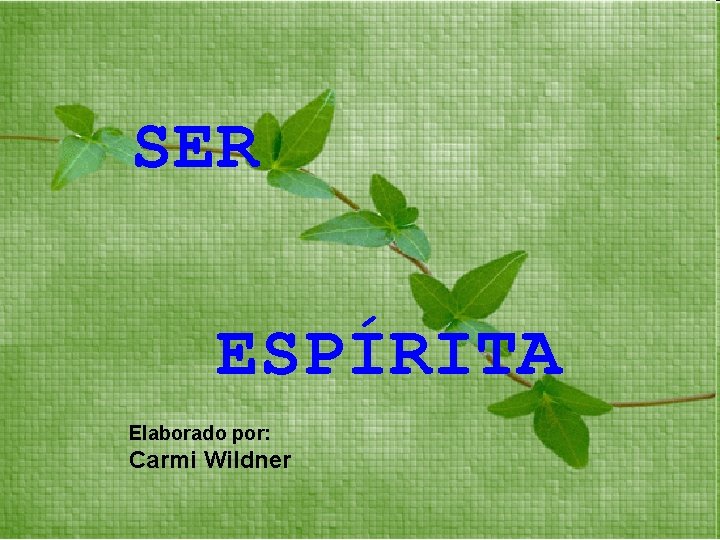 SER ESPÍRITA Elaborado por: Carmi Wildner 