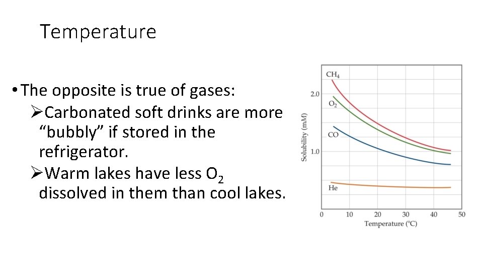 Temperature • The opposite is true of gases: ØCarbonated soft drinks are more “bubbly”