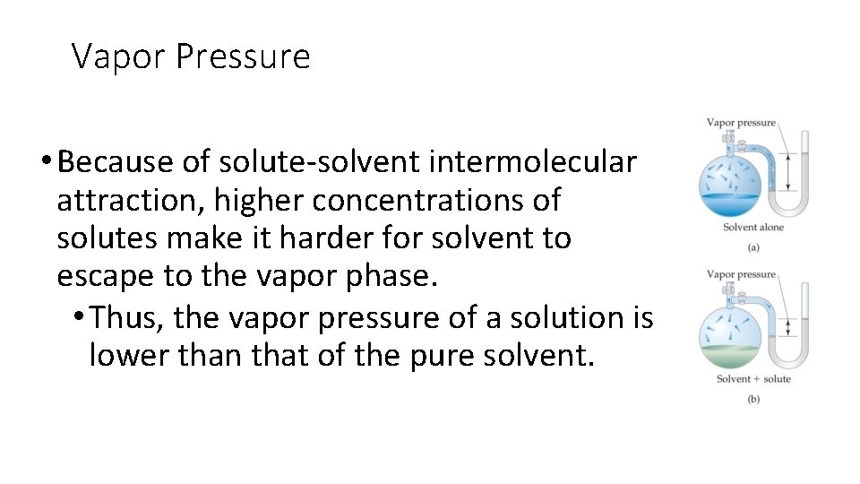 Vapor Pressure • Because of solute-solvent intermolecular attraction, higher concentrations of solutes make it