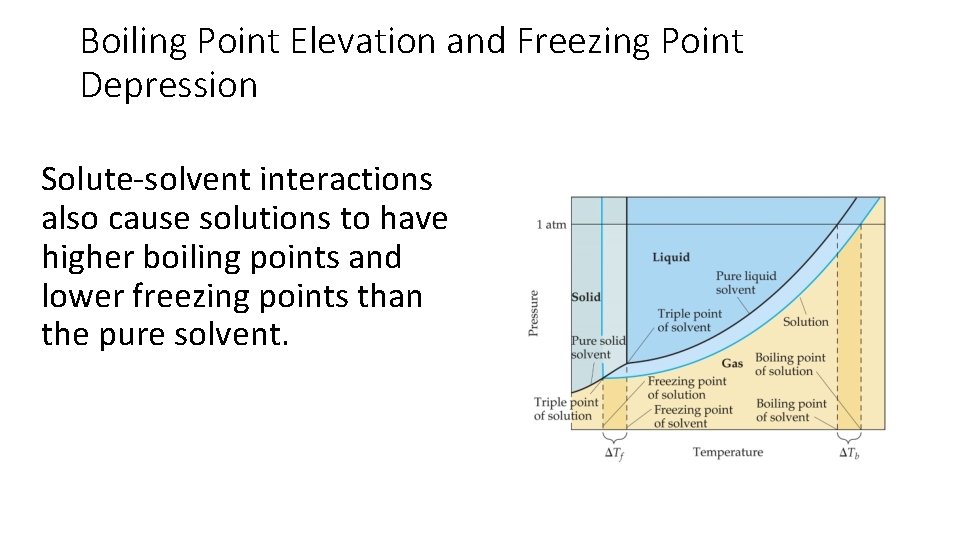 Boiling Point Elevation and Freezing Point Depression Solute-solvent interactions also cause solutions to have