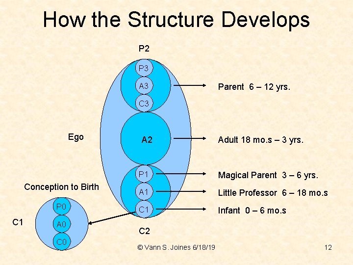 How the Structure Develops P 2 P 3 A 3 Parent 6 – 12