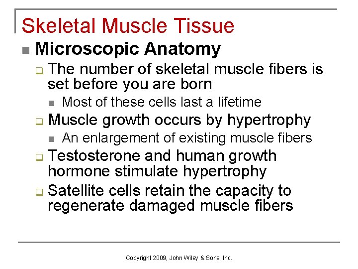 Skeletal Muscle Tissue n Microscopic Anatomy q The number of skeletal muscle fibers is