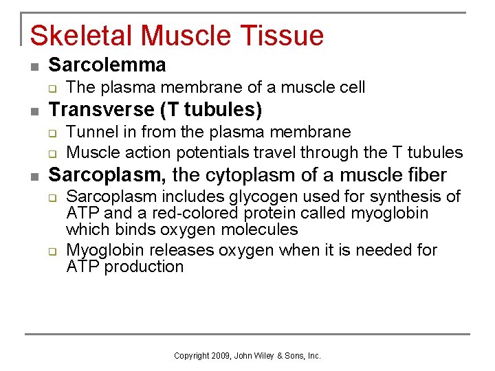 Skeletal Muscle Tissue n Sarcolemma q n Transverse (T tubules) q q n The