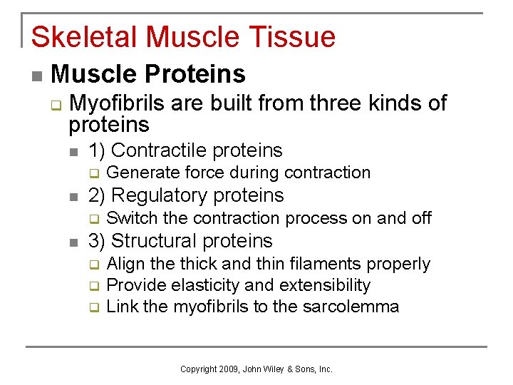 Skeletal Muscle Tissue n Muscle Proteins q Myofibrils are built from three kinds of